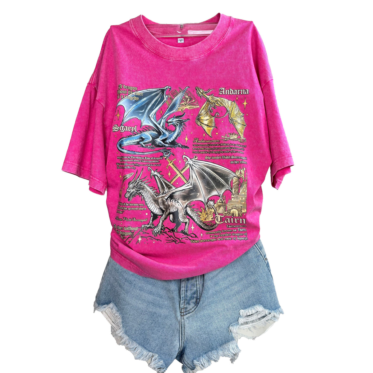 Fourth Wing washed graphic Shirt, Bookish Gift for Readers