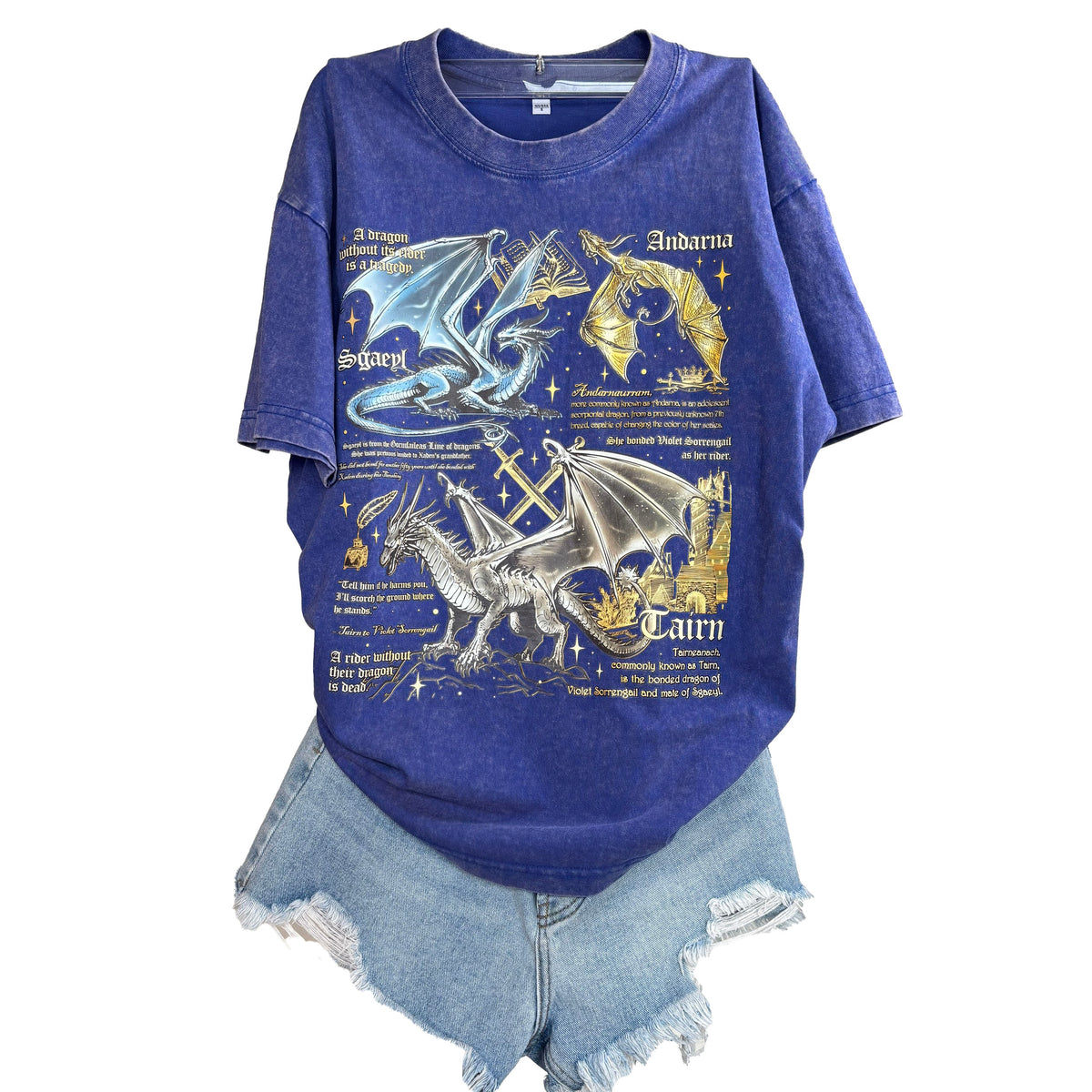 Fourth Wing washed graphic Shirt, Bookish Gift for Readers